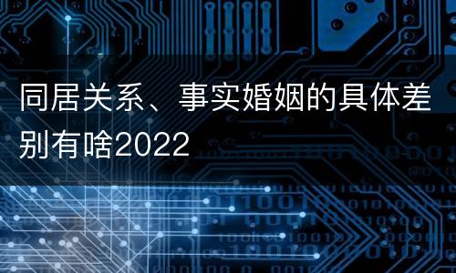 同居关系、事实婚姻的具体差别有啥2022