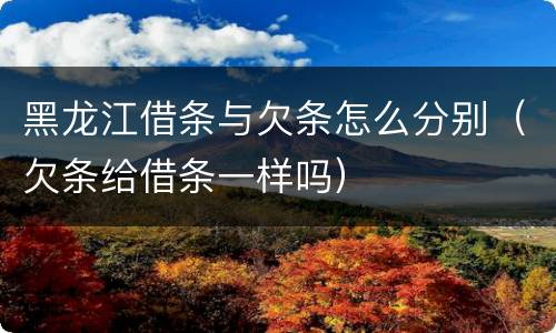 黑龙江借条与欠条怎么分别（欠条给借条一样吗）