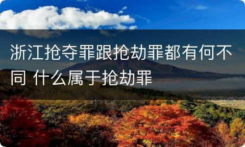 浙江抢夺罪跟抢劫罪都有何不同 什么属于抢劫罪