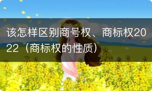 该怎样区别商号权、商标权2022（商标权的性质）
