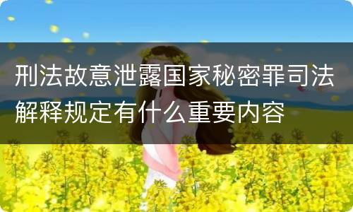 刑法故意泄露国家秘密罪司法解释规定有什么重要内容