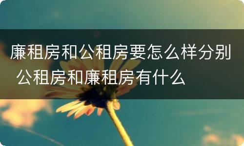 廉租房和公租房要怎么样分别 公租房和廉租房有什么