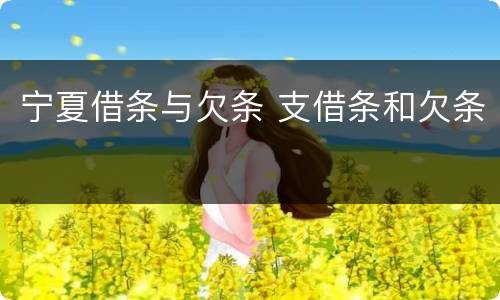 宁夏借条与欠条 支借条和欠条