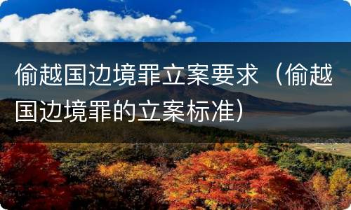 偷越国边境罪立案要求（偷越国边境罪的立案标准）