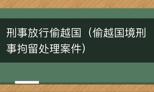 刑事放行偷越国（偷越国境刑事拘留处理案件）
