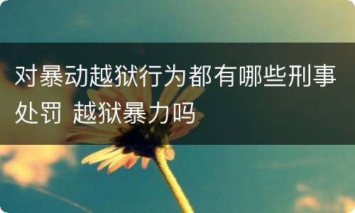对暴动越狱行为都有哪些刑事处罚 越狱暴力吗