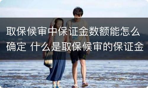 取保候审中保证金数额能怎么确定 什么是取保候审的保证金是多少