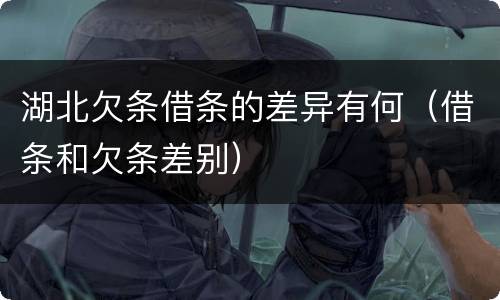 湖北欠条借条的差异有何（借条和欠条差别）