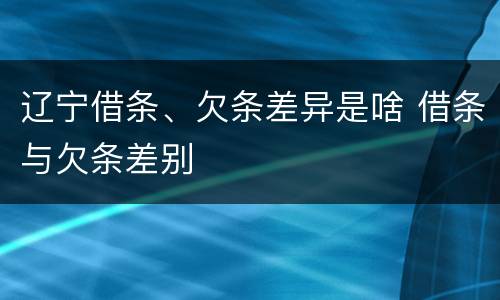 辽宁借条、欠条差异是啥 借条与欠条差别