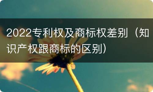 2022专利权及商标权差别（知识产权跟商标的区别）