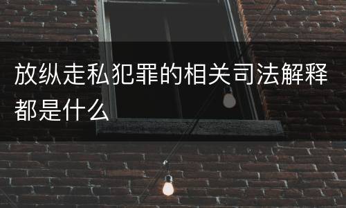 放纵走私犯罪的相关司法解释都是什么