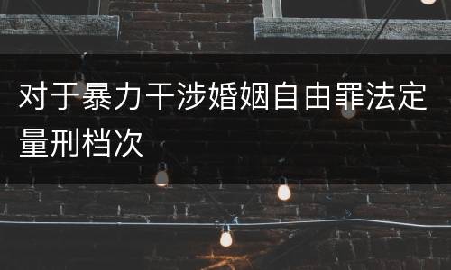 对于暴力干涉婚姻自由罪法定量刑档次