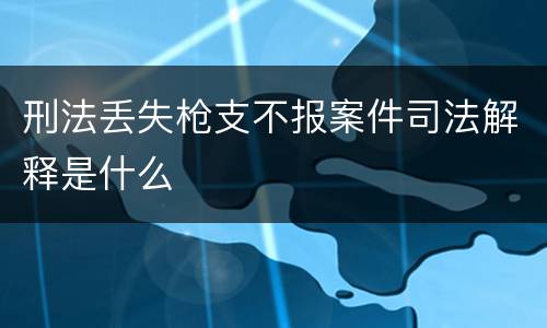 刑法丢失枪支不报案件司法解释是什么
