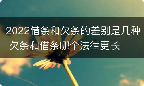 2022借条和欠条的差别是几种 欠条和借条哪个法律更长