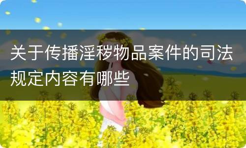 关于传播淫秽物品案件的司法规定内容有哪些