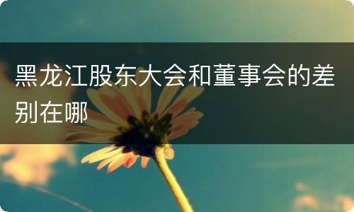 黑龙江股东大会和董事会的差别在哪