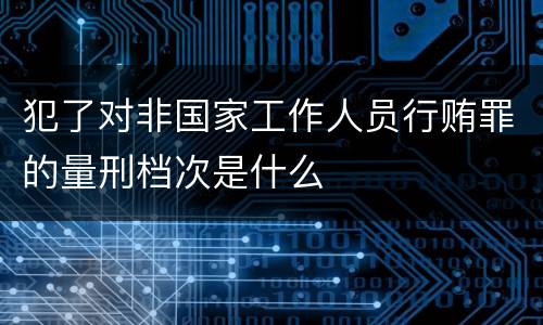 犯了对非国家工作人员行贿罪的量刑档次是什么
