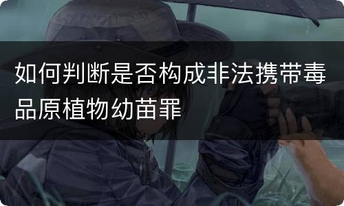 如何判断是否构成非法携带毒品原植物幼苗罪