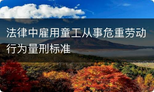 法律中雇用童工从事危重劳动行为量刑标准