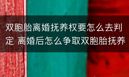 双胞胎离婚抚养权要怎么去判定 离婚后怎么争取双胞胎抚养权