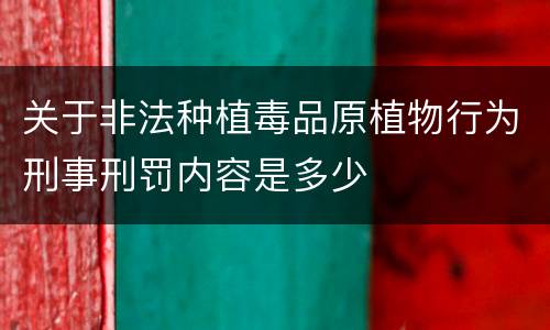 关于非法种植毒品原植物行为刑事刑罚内容是多少