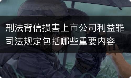 刑法背信损害上市公司利益罪司法规定包括哪些重要内容