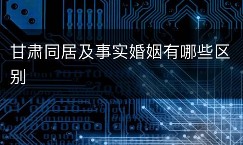 甘肃同居及事实婚姻有哪些区别