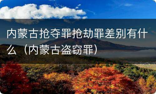 内蒙古抢夺罪抢劫罪差别有什么（内蒙古盗窃罪）