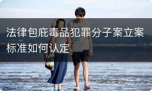 法律包庇毒品犯罪分子案立案标准如何认定