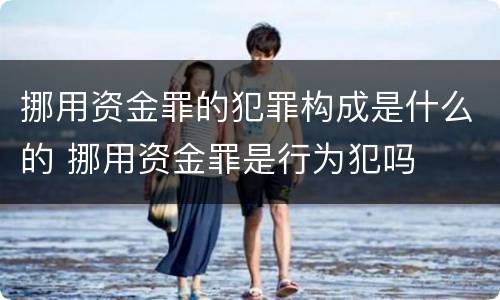 挪用资金罪的犯罪构成是什么的 挪用资金罪是行为犯吗