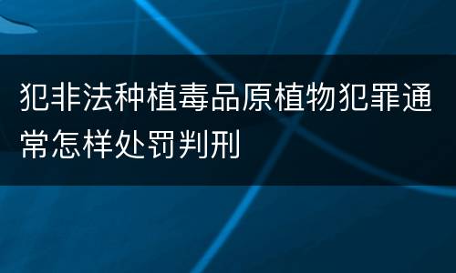 犯非法种植毒品原植物犯罪通常怎样处罚判刑