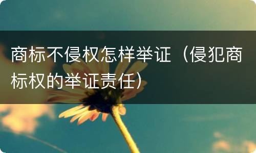 商标不侵权怎样举证（侵犯商标权的举证责任）
