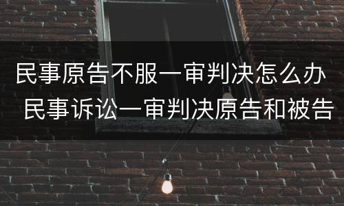 民事原告不服一审判决怎么办 民事诉讼一审判决原告和被告都不服怎么办