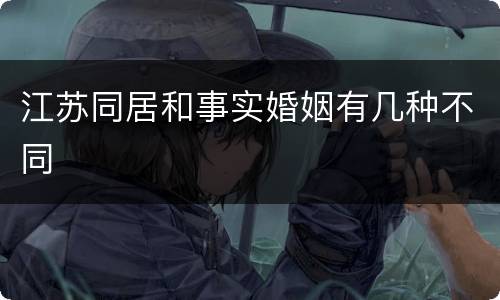江苏同居和事实婚姻有几种不同