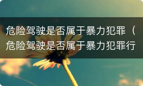 危险驾驶是否属于暴力犯罪（危险驾驶是否属于暴力犯罪行为）