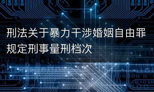 刑法关于暴力干涉婚姻自由罪规定刑事量刑档次