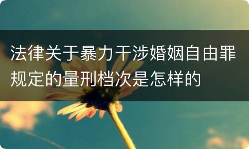 法律关于暴力干涉婚姻自由罪规定的量刑档次是怎样的