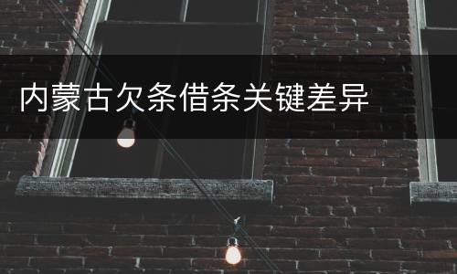 内蒙古欠条借条关键差异