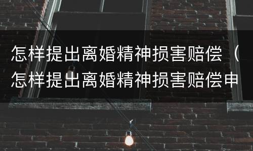 怎样提出离婚精神损害赔偿（怎样提出离婚精神损害赔偿申请）