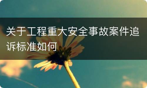 关于工程重大安全事故案件追诉标准如何
