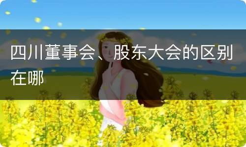 四川董事会、股东大会的区别在哪