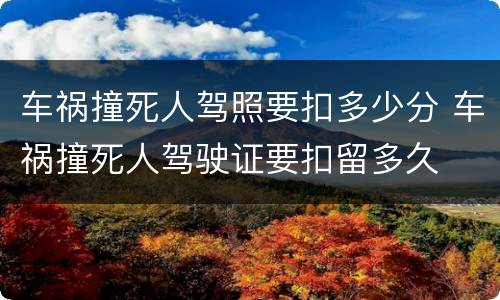 车祸撞死人驾照要扣多少分 车祸撞死人驾驶证要扣留多久