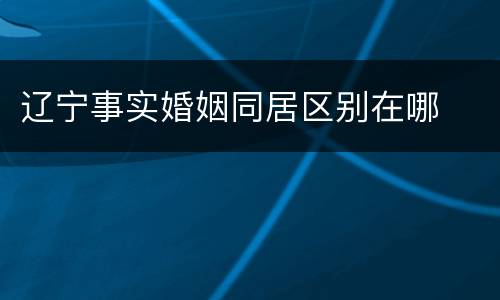 辽宁事实婚姻同居区别在哪