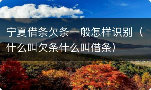 宁夏借条欠条一般怎样识别（什么叫欠条什么叫借条）