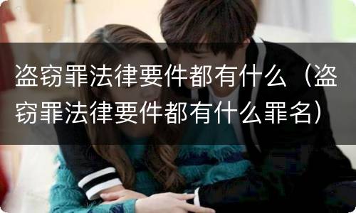 盗窃罪法律要件都有什么（盗窃罪法律要件都有什么罪名）