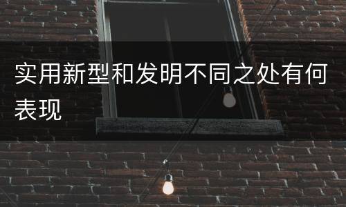 实用新型和发明不同之处有何表现