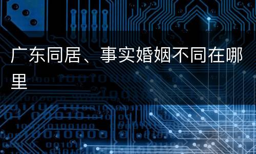 广东同居、事实婚姻不同在哪里