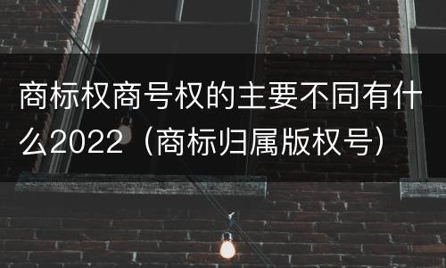 商标权商号权的主要不同有什么2022（商标归属版权号）