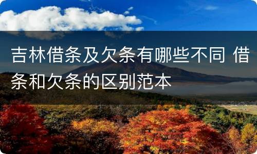 吉林借条及欠条有哪些不同 借条和欠条的区别范本