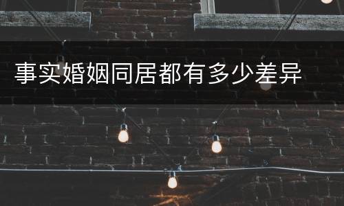 事实婚姻同居都有多少差异